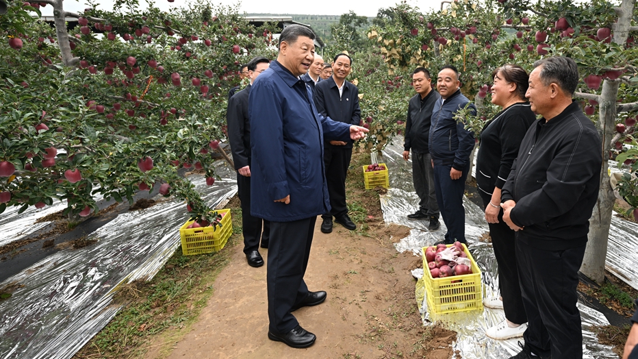 心系隴原大地——習近平總書記和甘肅的故事